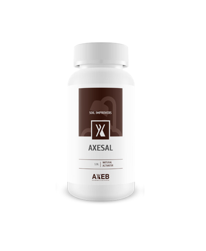 Axesal