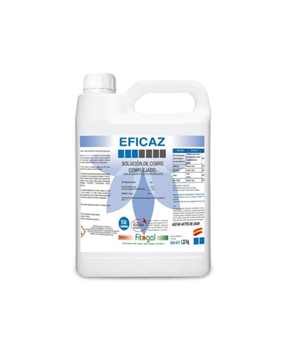 EFICAZ