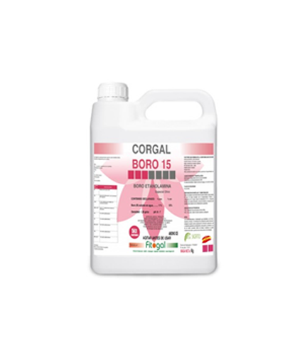 Corgal Boro 15